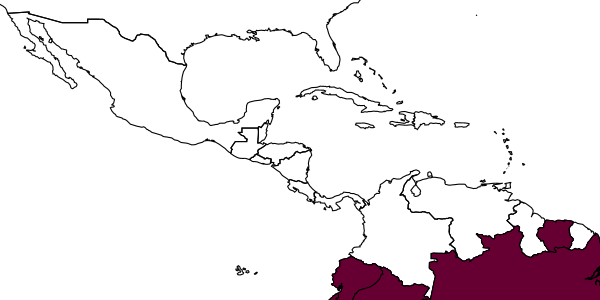 map of Manaos mulsus     (Konow, 1906)